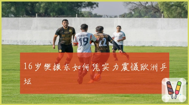 16岁樊振东如何凭实力震慑欧洲乒坛