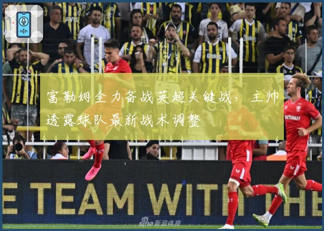 富勒姆全力备战英超关键战，主帅透露球队最新战术调整
