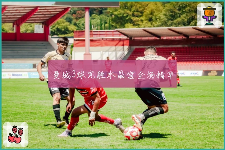 曼城3球完胜水晶宫全场精华