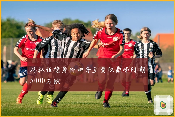 格林伍德身价回升至曼联巅峰时期5000万欧